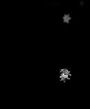 Snowflake from 2020.01.29, 05:55:37