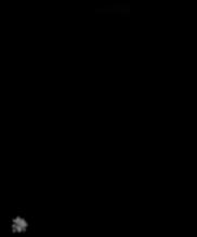 Snowflake from 2020.01.29, 05:55:20