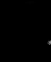 Snowflake from 2020.01.29, 05:56:33
