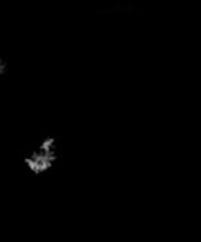 Snowflake from 2020.01.29, 05:56:42