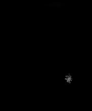 Snowflake from 2020.01.29, 05:57:01