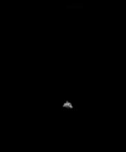 Snowflake from 2020.01.29, 05:57:57